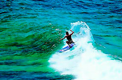 Sydney Surfing Holidays